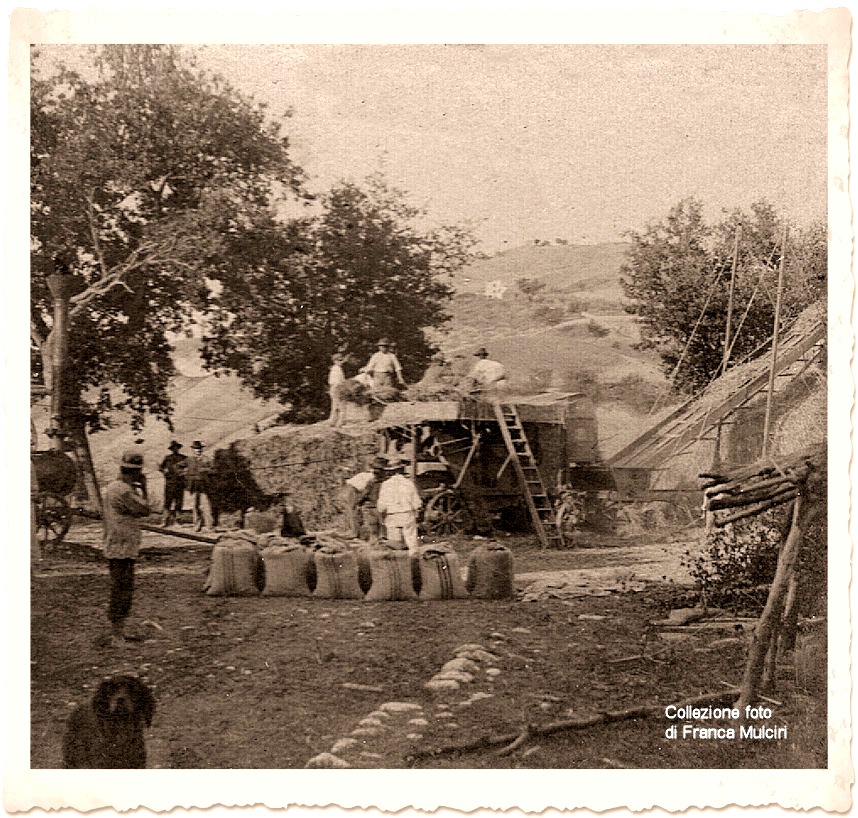 Trebbiatura ~ 1 Agosto 1914